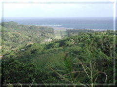 Savusavu Air Port and the Koro Sea,
click to see larger image.