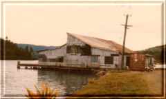 Historical photo Copra Shed marina, Savusavu,
click to see larger image.