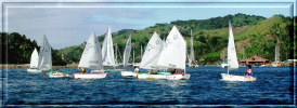 Savusavu Yacht Club Junior Sailors,
click to see larger image.
